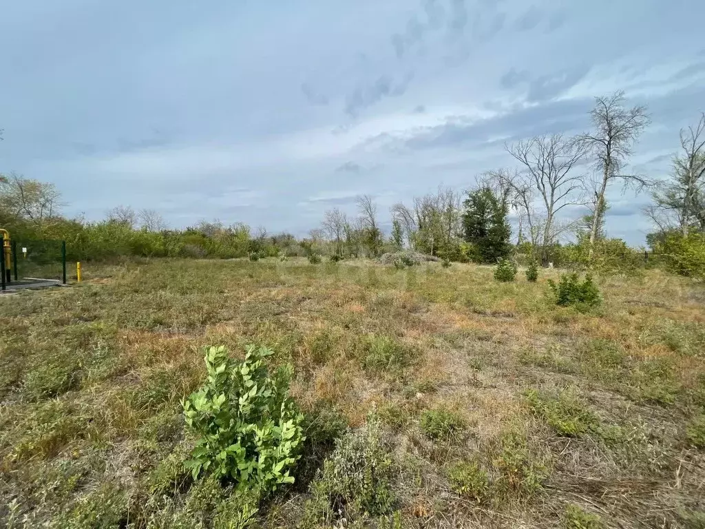 Участок в Ростовская область, Аксайский район, Старочеркасское с/пос ... - Фото 1