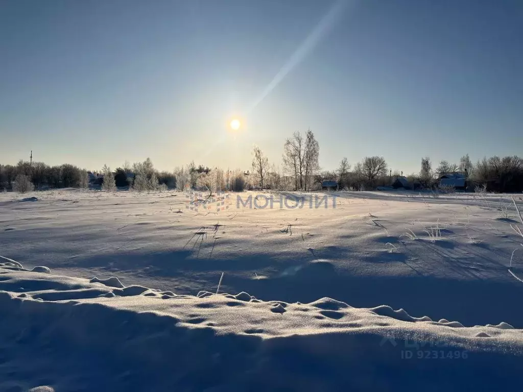 Участок в Нижегородская область, Вадский муниципальный округ, с. ... - Фото 1