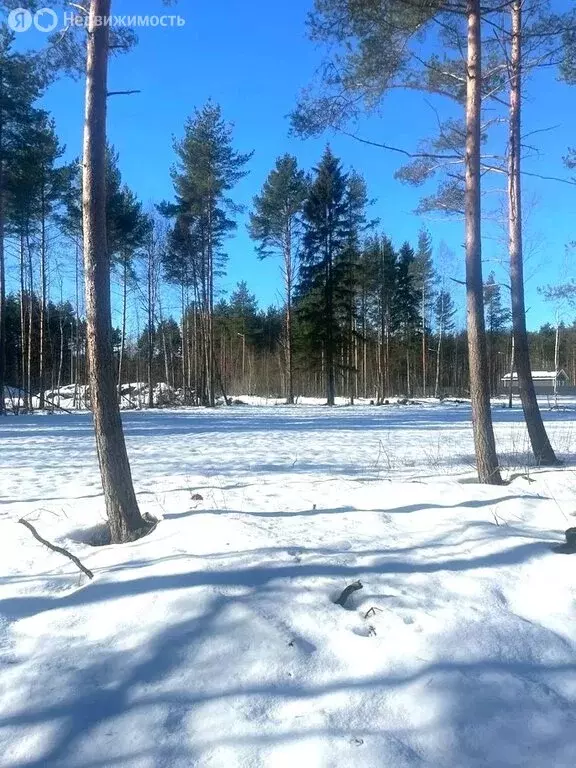 Участок в Шлиссельбург, Садовый переулок, 5 (8.5 м) - Фото 1