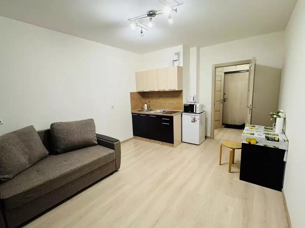 Студия Санкт-Петербург пос. Шушары, просп. Старорусский, 13к2 (24.0 м) - Фото 2