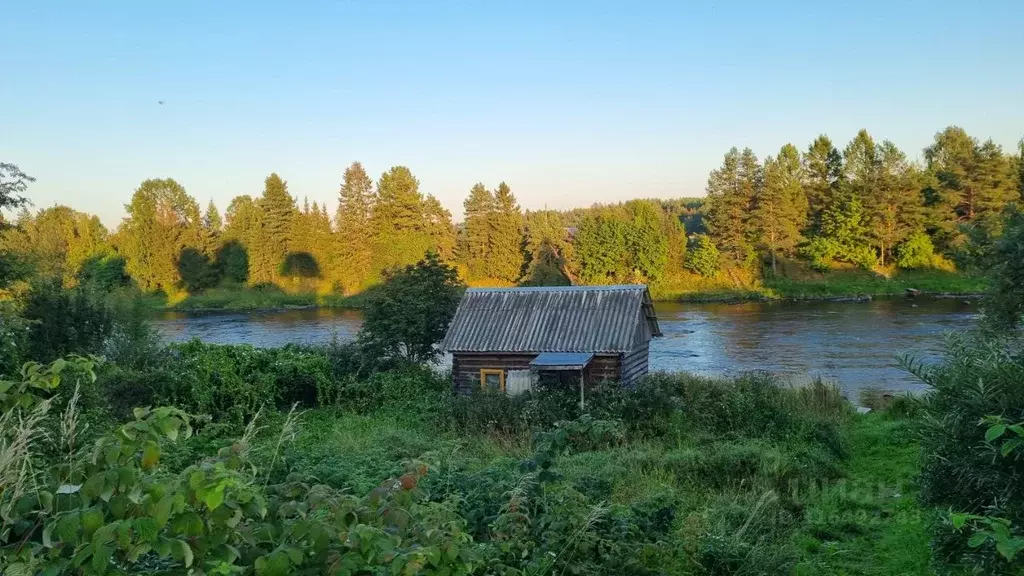Дом в Карелия, Пряжинский район, Чалнинское с/пос, д. Виданы ул. ... - Фото 1