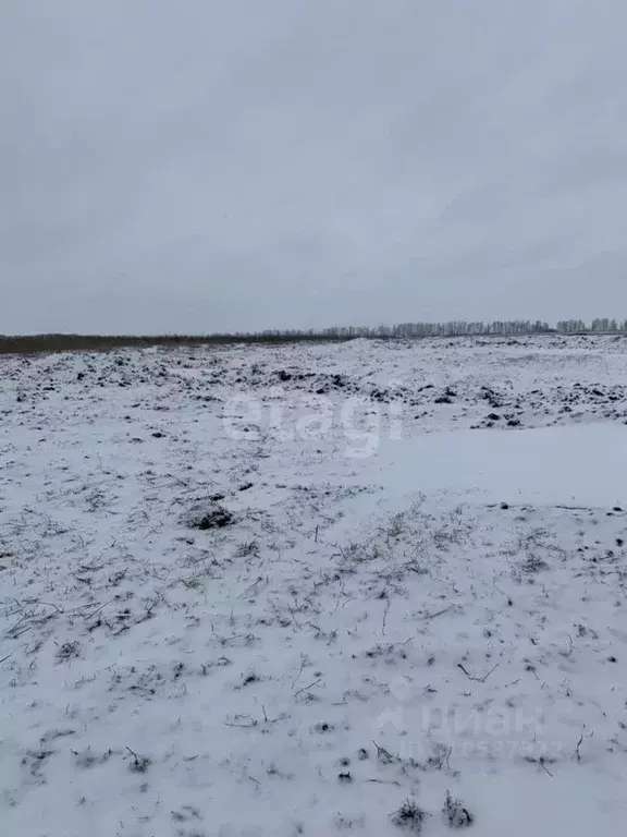 Участок в Белгородская область, Белгородский район, Головинское с/пос, ... - Фото 1
