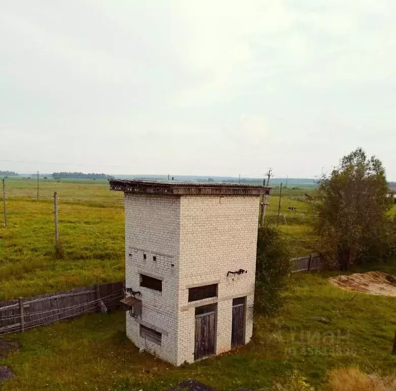 Погода в мече. Осинцево Пермский край.