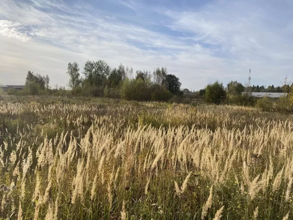 Участок в Московская область, Истра городской округ, с. Лужки  (750.0 ... - Фото 0