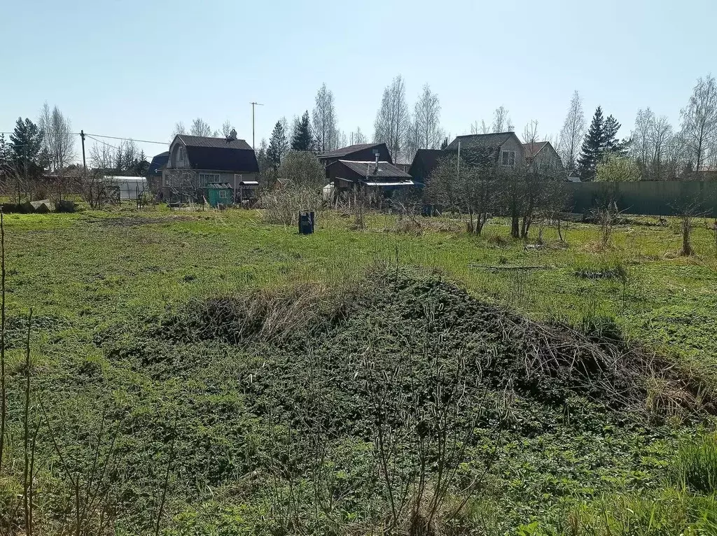 Участок в Ленинградская область, Тосненское городское поселение, Рубеж ... - Фото 1