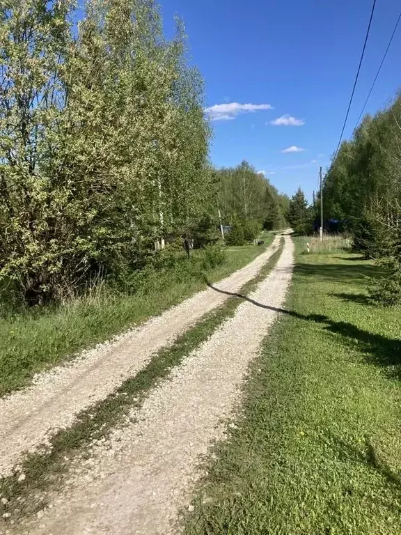 Участок в Владимирская область, Кольчугинский район, Ильинское ... - Фото 2