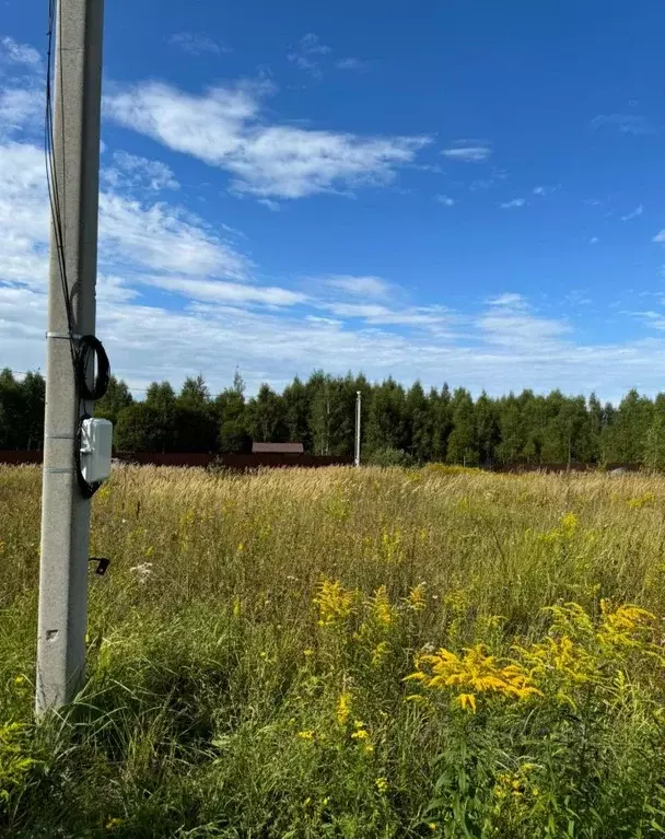 участок в московская область, серпухов городской округ, д. шепилово . - Фото 0