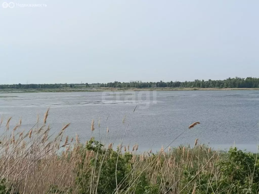 Участок в Марксовский район, Приволжское муниципальное образование, ... - Фото 2
