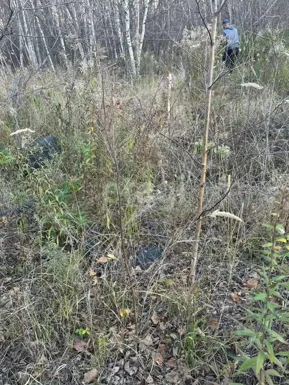 Участок в Хабаровский край, Хабаровский район, Мичуринское с/пос, с. ... - Фото 1