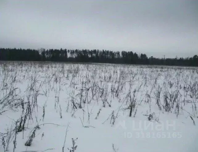 Участок в Амурская область, Благовещенск  (7.0 сот.) - Фото 0