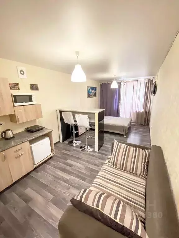 Студия Саратовская область, Саратов Огородная ул., 157 (27.0 м) - Фото 2