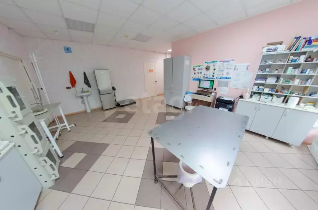 Торговая площадь в Курганская область, Шадринск ул. Ефремова, 12 (197 ... - Фото 2