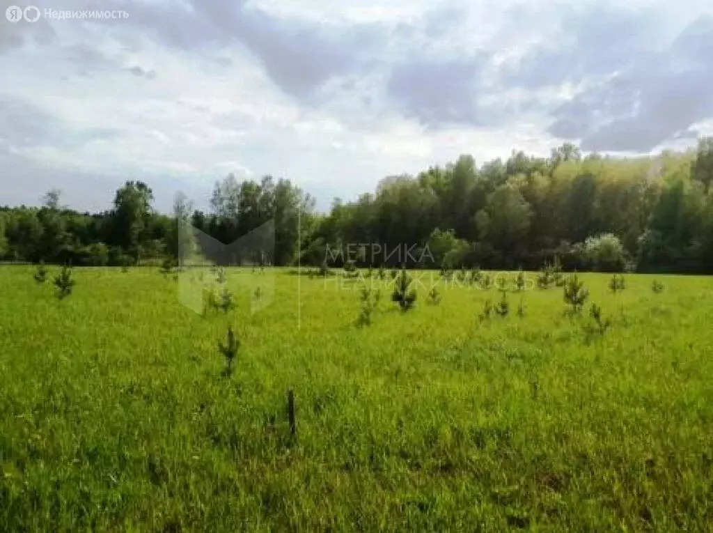 Участок в Перевалово, 1-я Береговая улица (12.4 м) - Фото 2