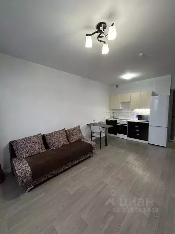 Студия Красноярский край, Красноярск Соколовская ул., 80А (26.5 м) - Фото 2