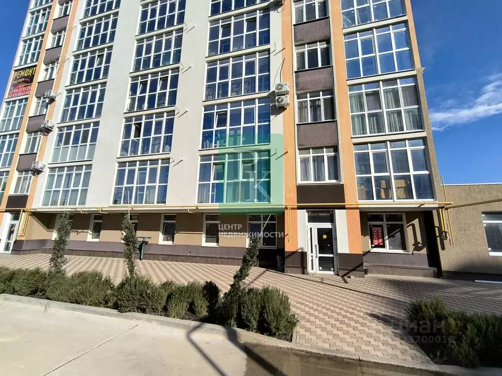 Торговая площадь в Севастополь Гагаринский муниципальный округ, ул. ... - Фото 2