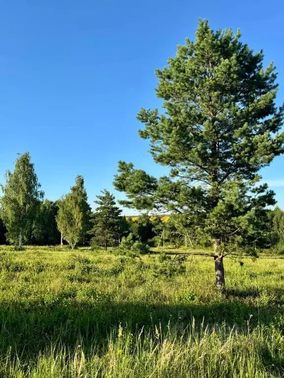 Участок в Московская область, Серпухов городской округ, д. Волохово  ... - Фото 2