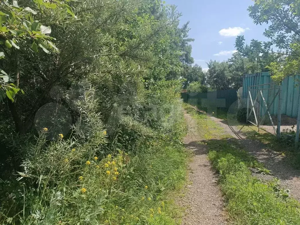 Участок 5,3 сот. (СНТ, ДНП) - Фото 0