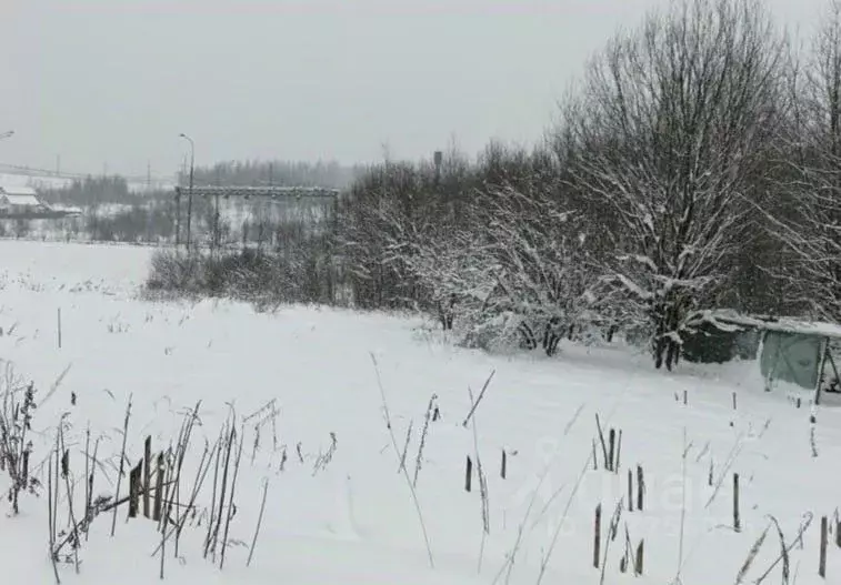 Участок в Московская область, Дмитровский муниципальный округ, пос. ... - Фото 1