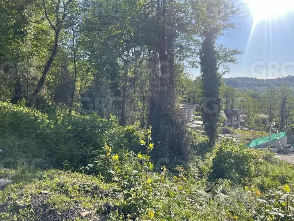 Участок в Краснодарский край, Сочи городской округ, с. Васильевка ул. ... - Фото 0