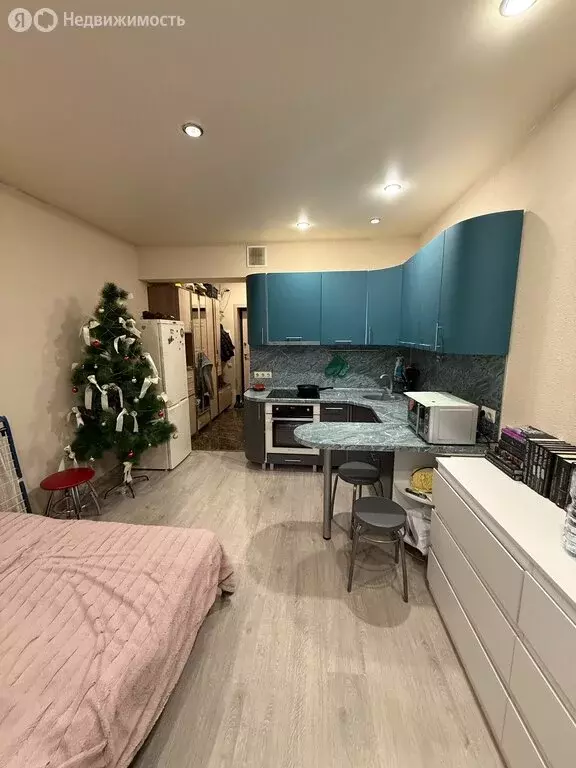 Квартира-студия: село Засечное, Радужная улица, 10 (28 м) - Фото 2