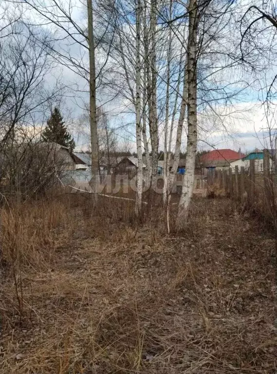 Участок в Воронежская область, Новоусманский район, пос. Шуберское ... - Фото 0