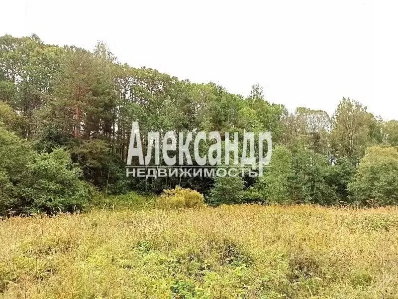 Участок в Карелия, Сортавальский муниципальный округ, пос. Реускула  ... - Фото 2