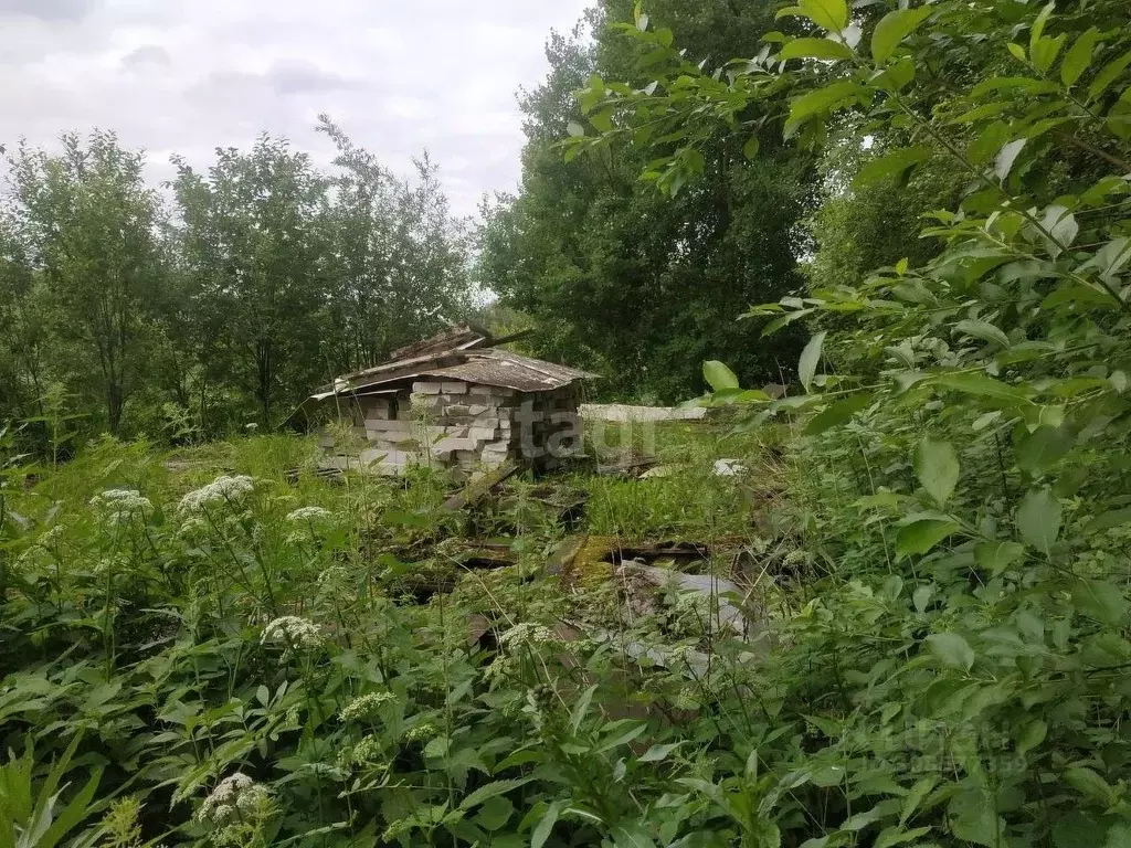 Участок в Новосибирская область, Новосибирск ул. Набережная Плющихи, ... - Фото 1