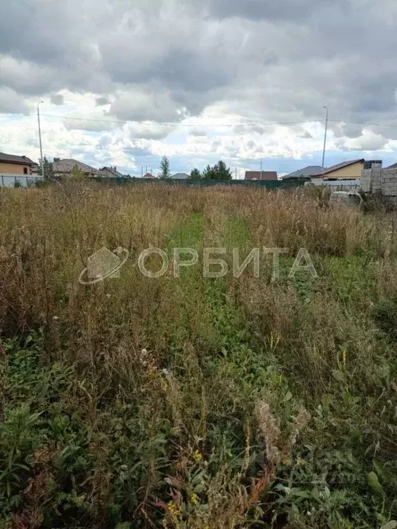 Участок в Тюменская область, Тюменский муниципальный округ, д. Ушакова ... - Фото 2