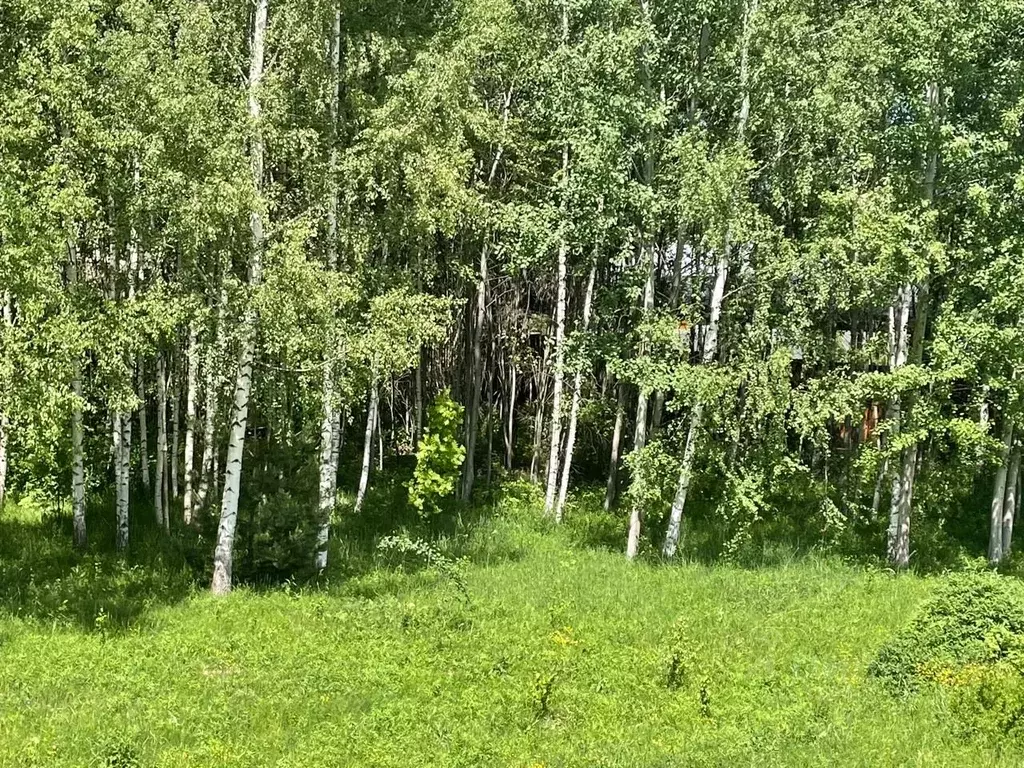 Участок в Тверская область, Конаковский муниципальный округ, д. ... - Фото 1