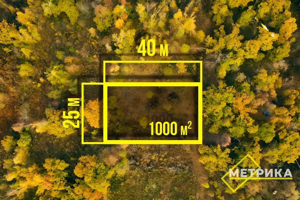 Участок в Приморский край, Артем Нарцисс СНТ,  (10.0 сот.) - Фото 2