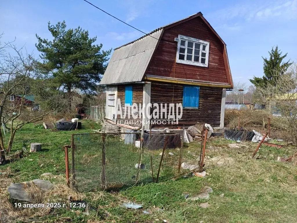Участок в Ленинградская область, Кировский район, Приладожское ... - Фото 2