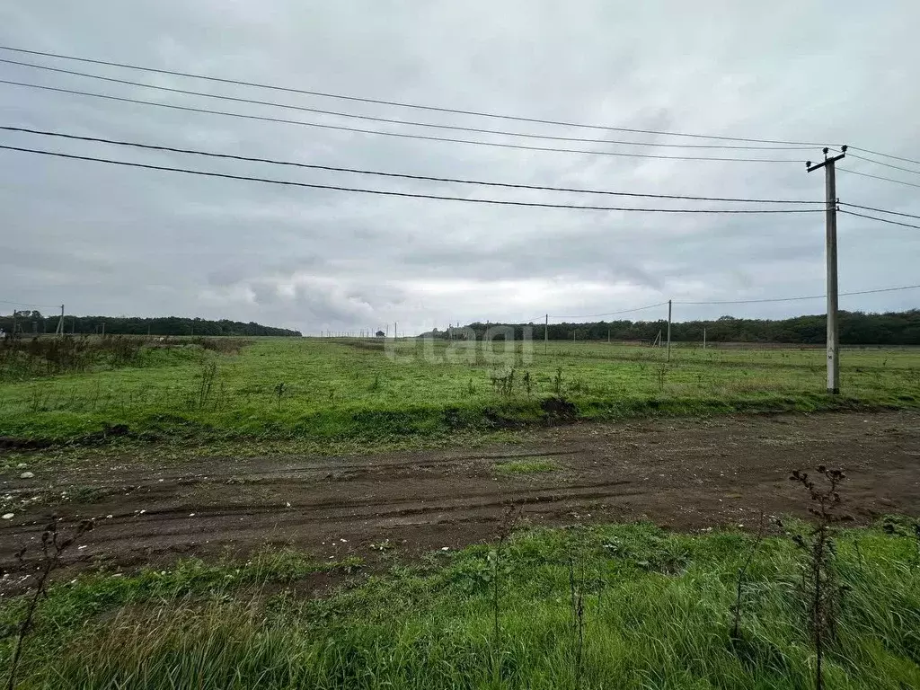 Участок в Краснодарский край, Новороссийск городской округ, ... - Фото 0