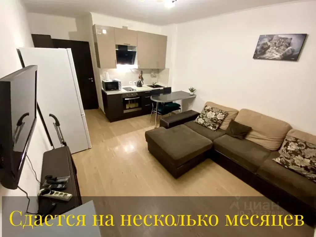 Студия Санкт-Петербург просп. Ветеранов, 169к3 (25.0 м) - Фото 0