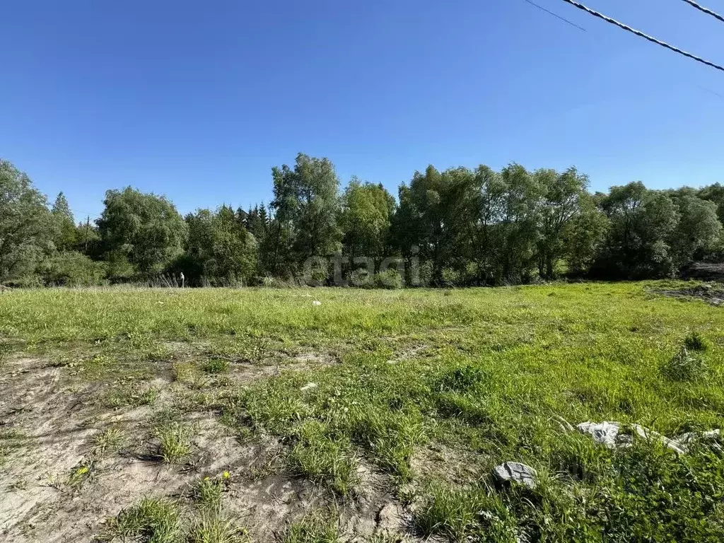 Участок в Смоленская область, с. Вязьма-Брянская ул. Нестерова (18.0 ... - Фото 2