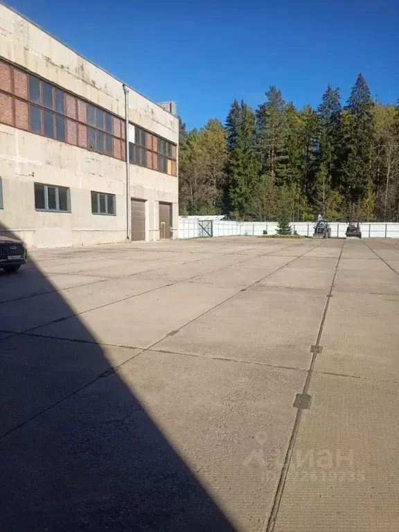 Производственное помещение в Ленинградская область, Тосненский район, ... - Фото 1