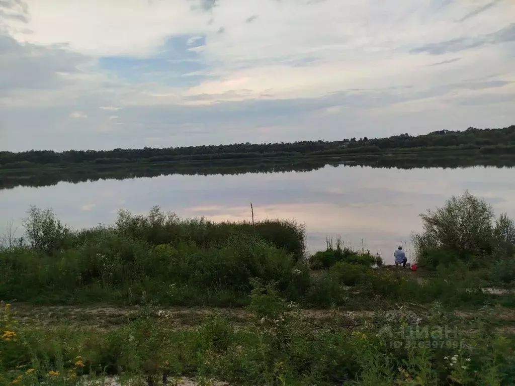 Участок в Рязанская область, Рыбновский район, д. Чурилково  (10.0 ... - Фото 0