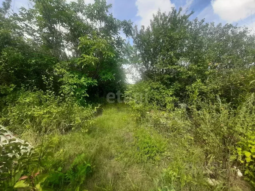 Участок в Белгородская область, Волоконовка рп, Сибирь мкр  (15.0 ... - Фото 1