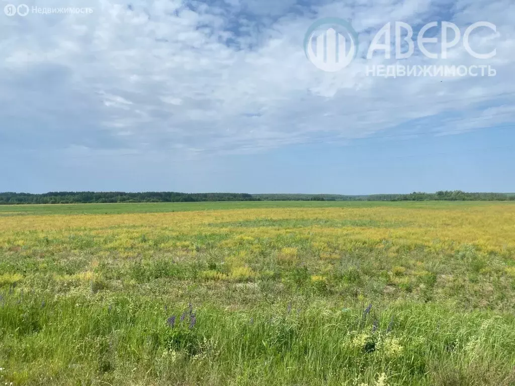 Участок в округ Муром, деревня Макаровка (13 м) - Фото 0