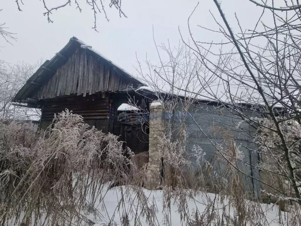 Участок в Нижегородская область, Бор городской округ, д. Трутнево 1 ... - Фото 1