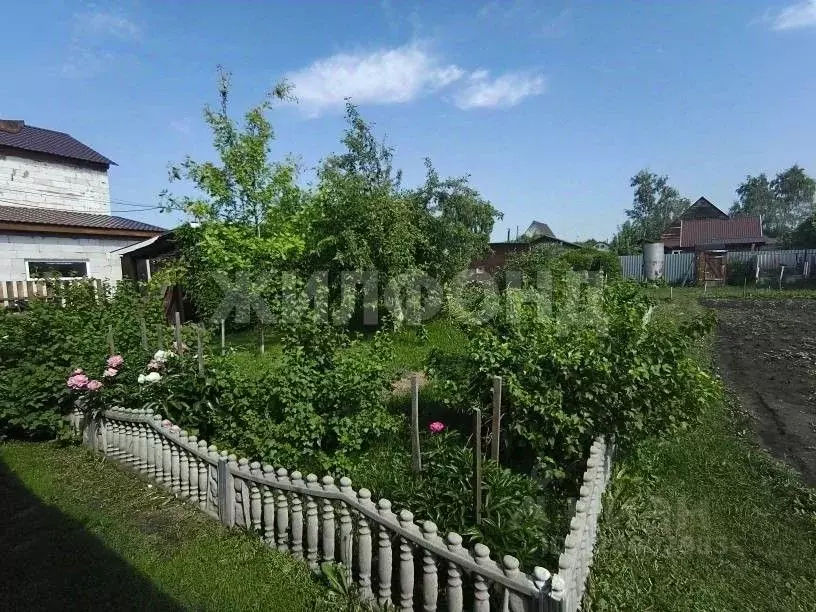 Дом в Алтайский край, Барнаул Декоратор СНТ, 48 (30 м) - Фото 2