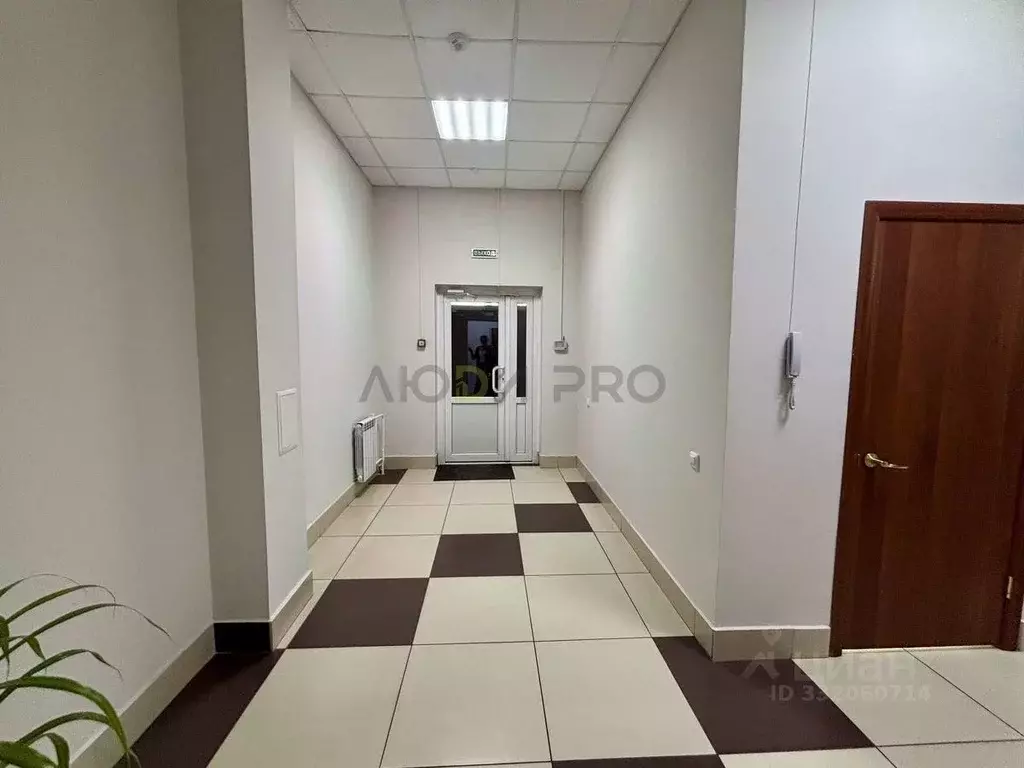 Офис в Алтайский край, Барнаул ул. Эмилии Алексеевой, 65 (175 м) - Фото 2