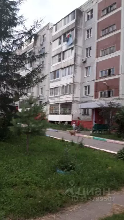 1-к кв. Хабаровский край, Хабаровский район, с. Некрасовка ... - Фото 0