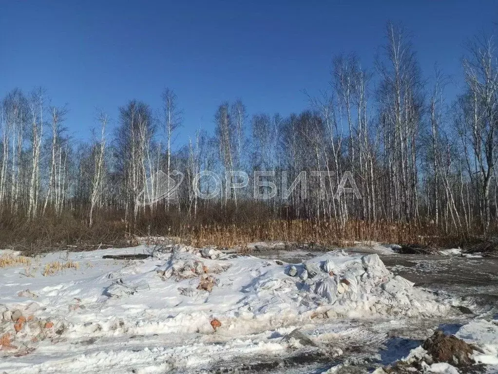 Участок в Тюменская область, Тюмень Центральная пл. (25.0 сот.) - Фото 0