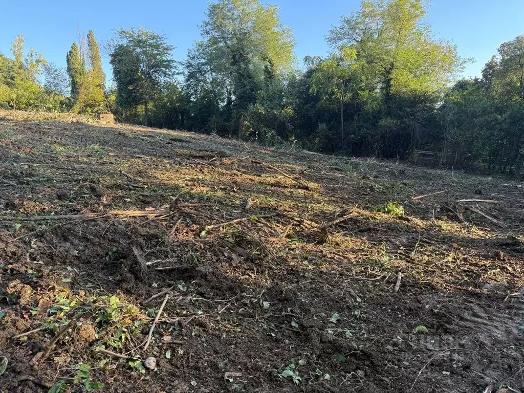 Участок в Краснодарский край, Сочи Культурное Уч-Дере мкр, ул. ... - Фото 2