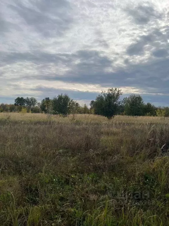 Участок в Татарстан, Лаишевский район, Рождественское с/пос, д. ... - Фото 1