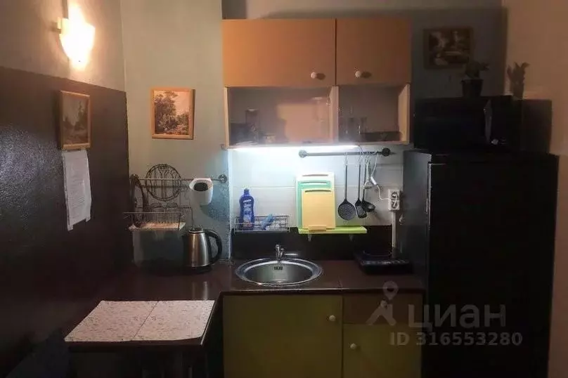 1-к кв. Московская область, Электроугли Богородский городской округ, ... - Фото 2