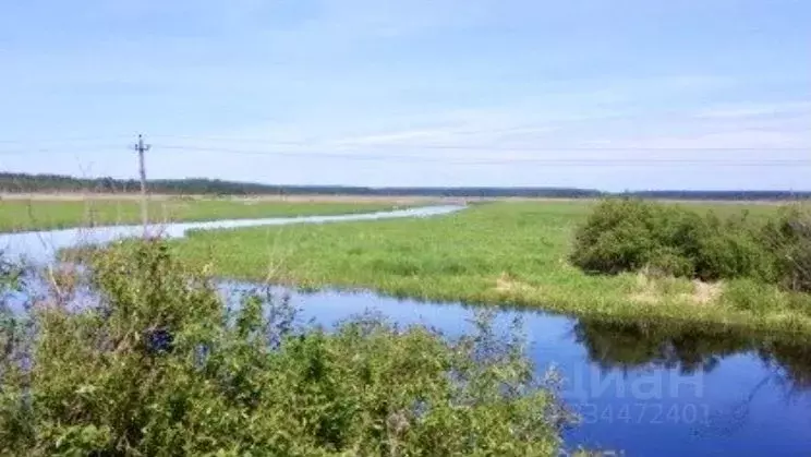 Участок в Вологодская область, Череповецкий район, Строитель садовое ... - Фото 2