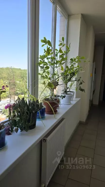 1-к кв. Ростовская область, Ростов-на-Дону Днепровский пер., 124Н ... - Фото 1