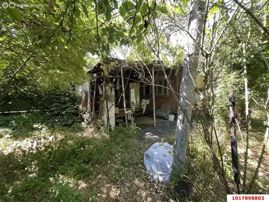 Участок в Краснодар, СНТ № 1, Сливовая улица, 186 (6.05 м) - Фото 1