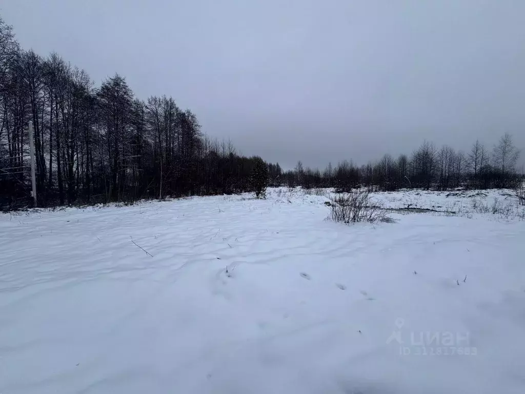 Участок в Брянская область, Брянск бул. Гагарина (25.0 сот.) - Фото 0